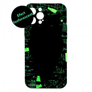 Husă iPhone 12 Pro MAX LUXO Hard Case Math Owl