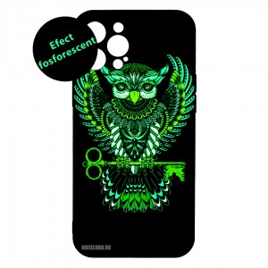 Husă iPhone 12 Pro MAX LUXO TPU Wisdom is Key