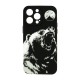 Grizzly Bear